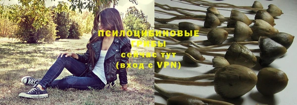 apvp Краснотурьинск