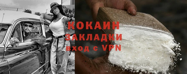 соль ск Кукмор