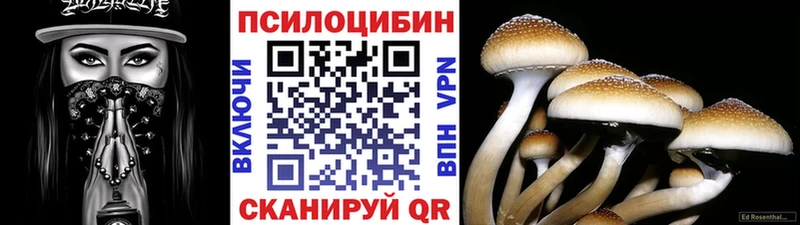 цены   Черногорск  Псилоцибиновые грибы Cubensis 